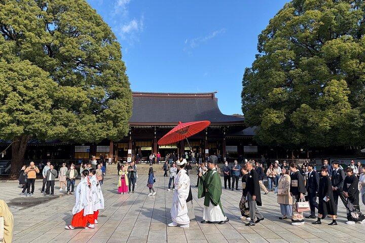 Tokyo Private Highlights Tour by Car with Local Guide