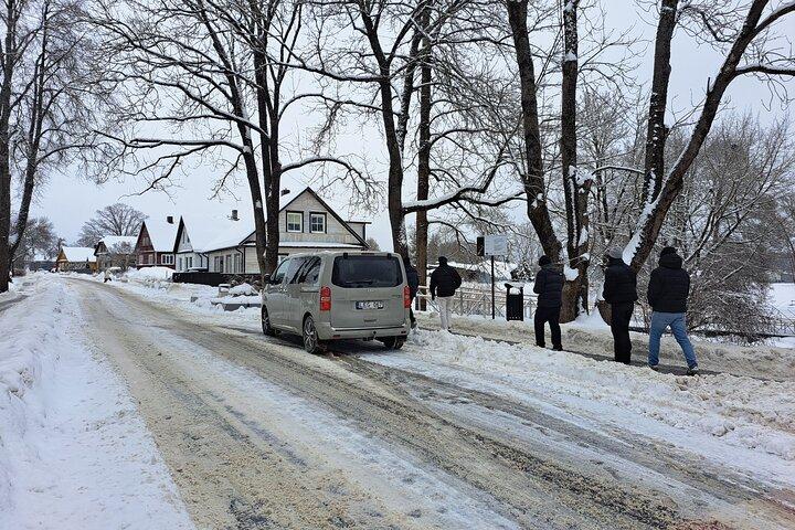 Trakai Half-day Tour by Minivan