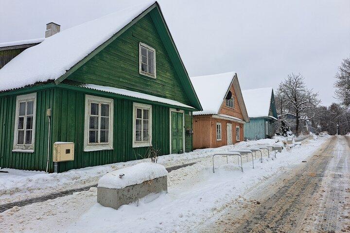 Trakai Half-day Tour by Minivan