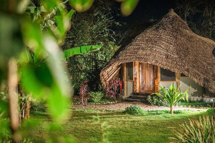 8-Day Private Luxury Wildlife Safari in Tanzania