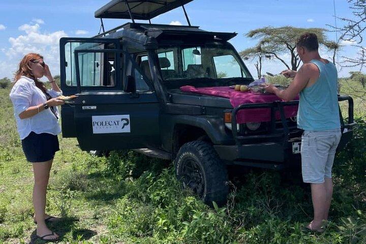 4-Day Private Luxury Safari: Tarangire, Serengeti & Ngorongoro