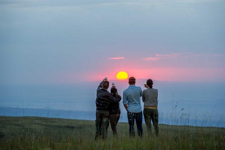 Private Ngorongoro Crater Day Trip Safari from Arusha