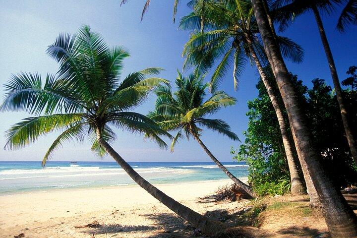 Sri Lankan South Coast One Day Tour - Bentota, Hikkaduwa, Galle