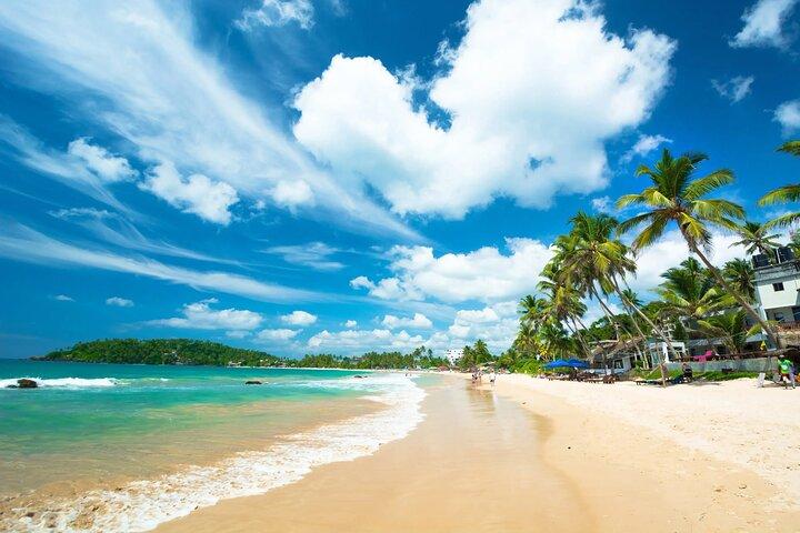 Sri Lankan South Coast One Day Tour - Bentota, Hikkaduwa, Galle