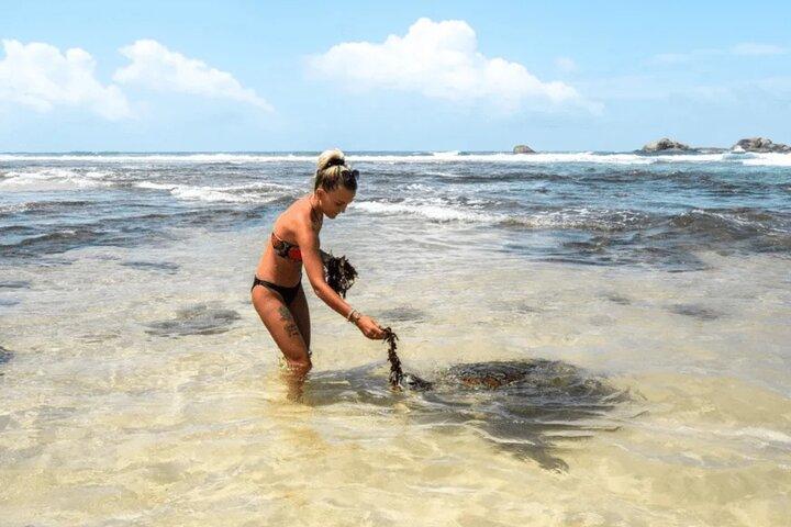 Sri Lankan South Coast One Day Tour - Bentota, Hikkaduwa, Galle