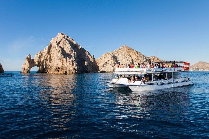 Whale Watching a Majestic Cabo Experience