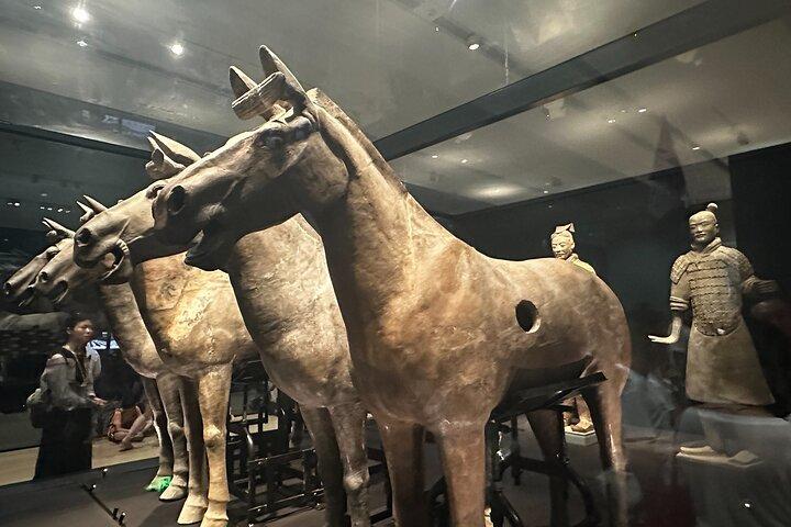 Beijing Private Tour: Xi'an Terracotta Warriors by Bullet Train
