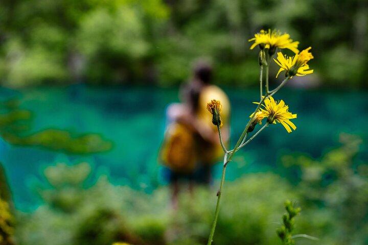 Triglav National Park Treasures Tour (Vintgar Gorge included)