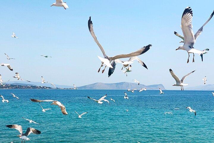 Spetses Island Full Day Trip from Nafplio with Swimming