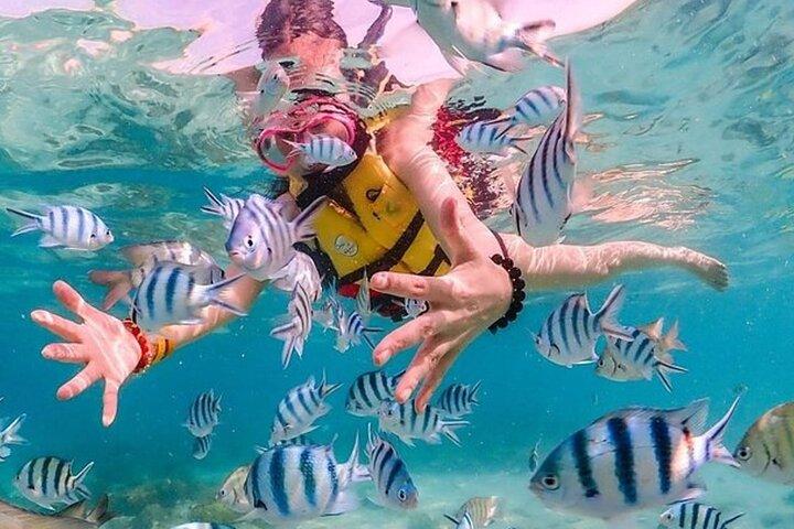 Pattaya Coral Island Speedboat Tour with Drone Pics from Bangkok