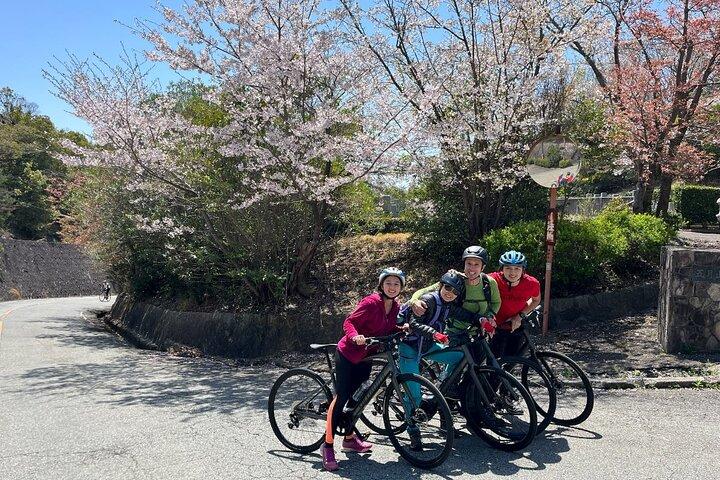 Private E-bike Adventure in Osaka's Hills