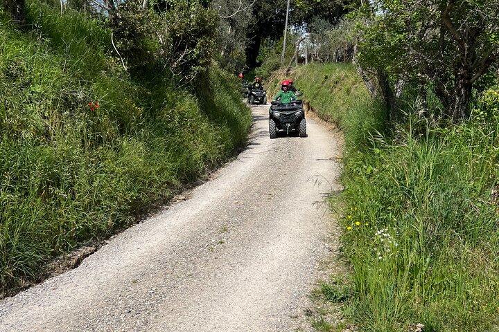 Montepulciano Paths of the Noble Quad Tour 1 Hour with Lunch