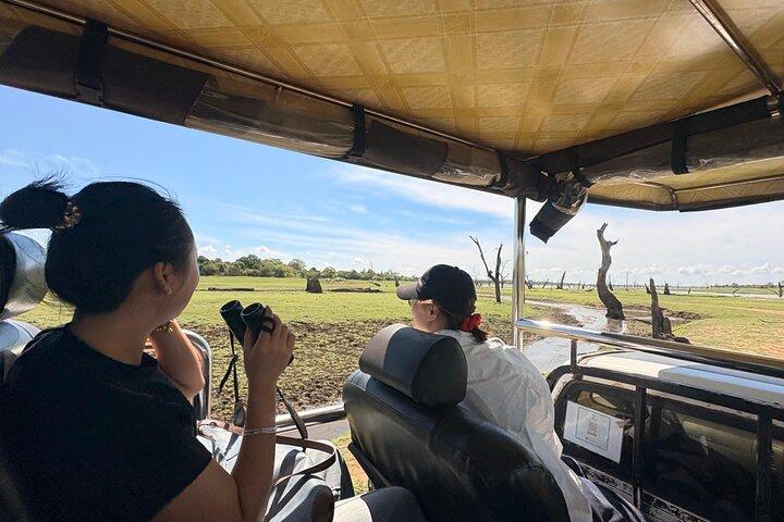 Udawalawe National Park- 4 Hour Private Safari Tour