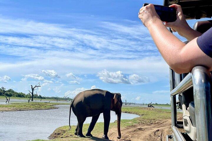 Udawalawe National Park- 4 Hour Private Safari Tour