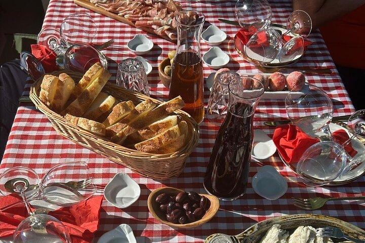 Authentic Dalmatian Wine & Olive Oil Tasting - Live Music & View