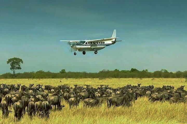 Day Trip to Selous Nyerere National Park Flying from Zanzibar