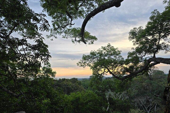 Tambopata 3 Day Amazon Tour: Macaws, Caimans & Jungle