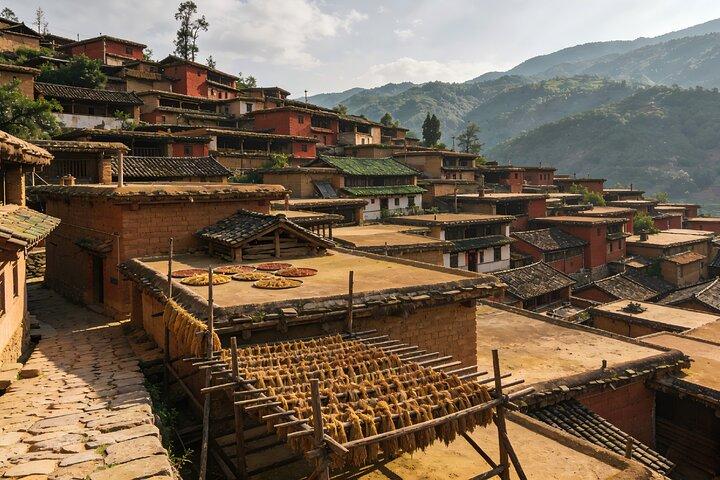 Kunming Private Day Tour to Stone Forest and Chengzi Ancient Town