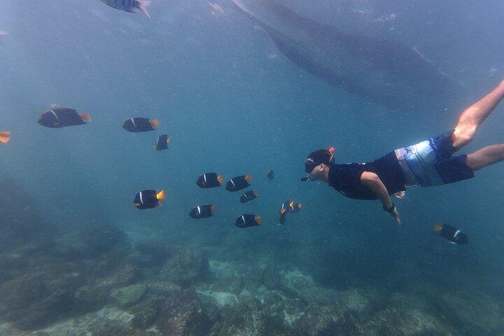 Hidden Beach Snorkeling Adventure