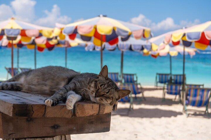 Lazy Phi Phi and Khai Waterslide by Speed Catamaran from Phuket