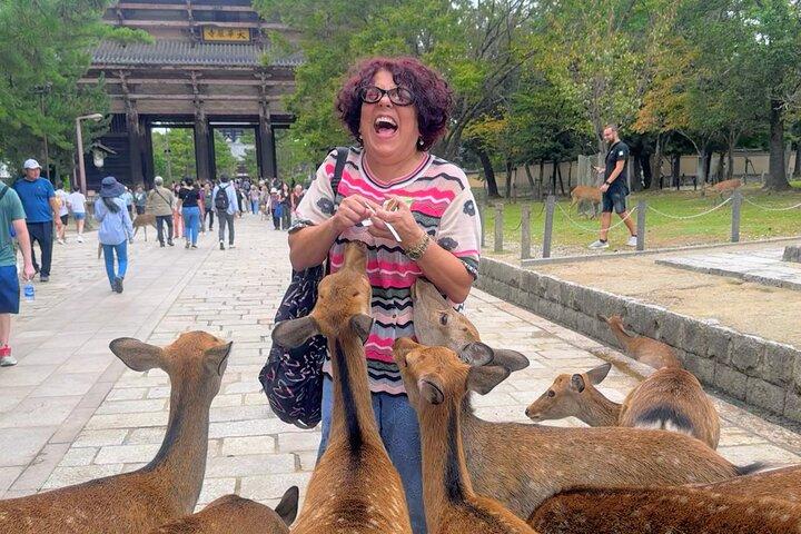 Morning Wonder World Heritage Nara Guided Tour