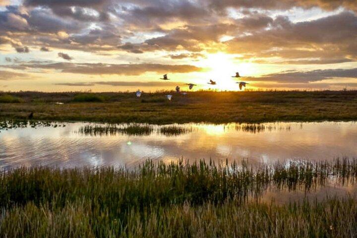 Muthurajawela Wetlands: Scenic Boat Ride & Birdwatching Tour