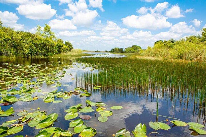 Muthurajawela Wetlands: Scenic Boat Ride & Birdwatching Tour