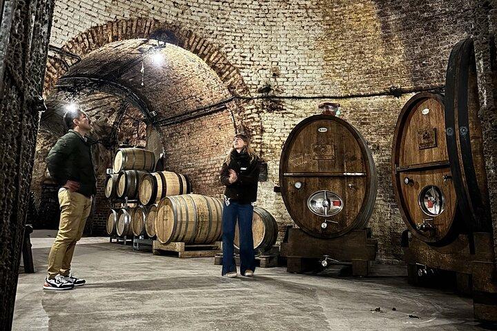 Champagne Cellar tour and tasting