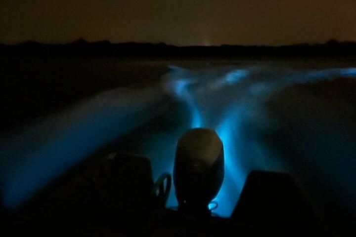 Bioluminescence Night Tour in Hopkins, Belize