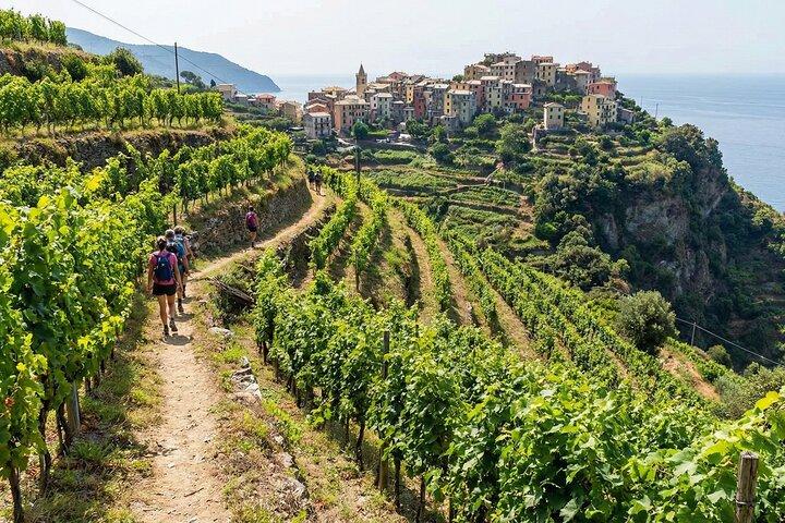 Cinque Terre: Self‑Guided Views, Vineyards and Villages