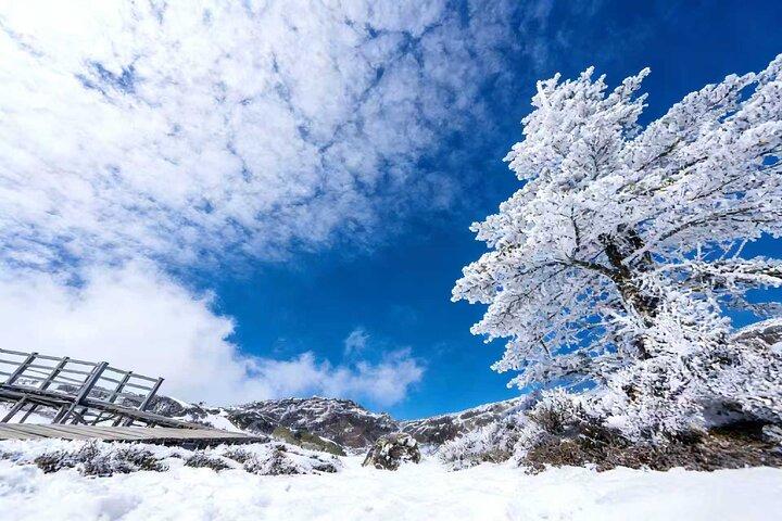 Kunming Private Day Tour to Jiaozi Snow Mountain including Lunch and Cable Car