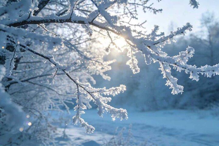 Kunming Private Day Tour to Jiaozi Snow Mountain including Lunch and Cable Car