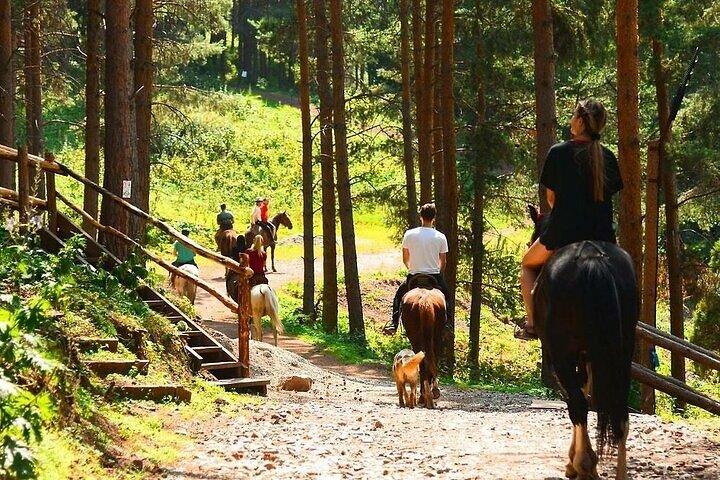 One Nomad Day Tour Horseback Riding, Archery at Chunkurchak