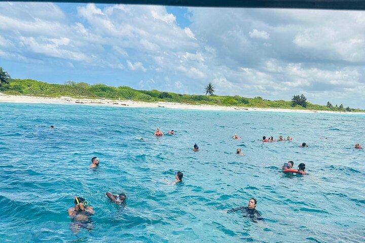 Discover Catalina Island from Punta Cana DR An Escape Journey