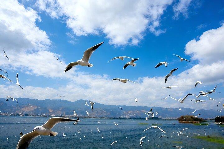 Kunming Private Day Tour to Dianchi Lake, West Hill and Anning Hotsprings