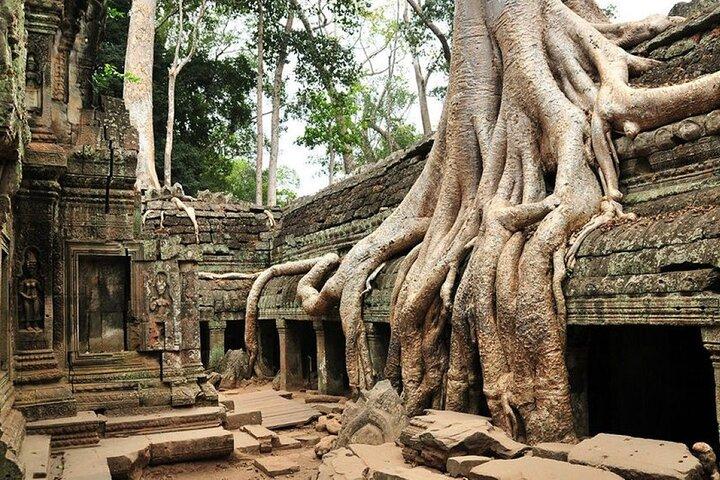 Private tours to Angkor Wat Sunrise, Angkor Thom & Ta Prohm