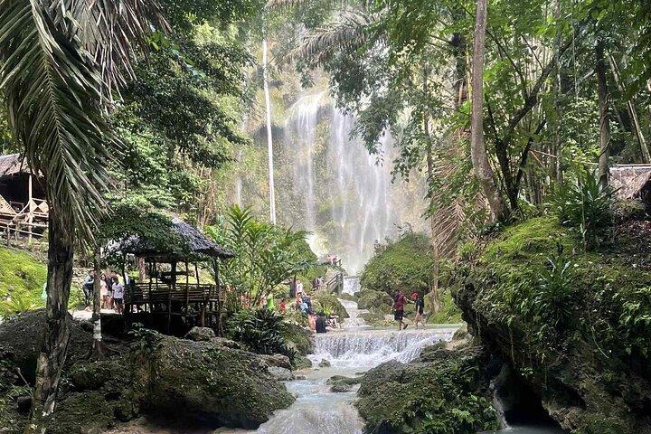 Cebu Whale Shark Encounter, Moalboal Sardines & Tumalog Falls