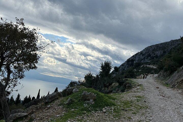 Kefalonia 4×4 Van Adventure Mount Ainos and Omala Valley Tour