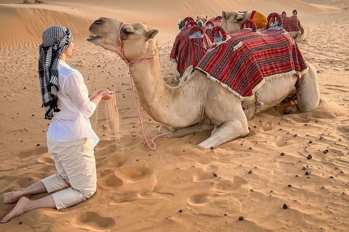 4-Hour Red Dunes Private Dubai Desert Safari (No Camp) –