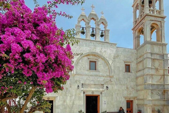 Mykonos 2 Hour Private Tour with a Local Expert