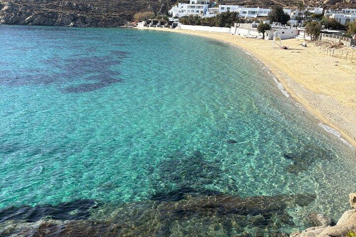 Mykonos 2 Hour Private Tour with a Local Expert