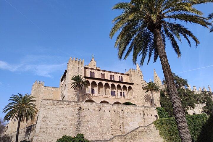 VIP Palma de Mallorca and Cathedral from Cruise Port Small Group