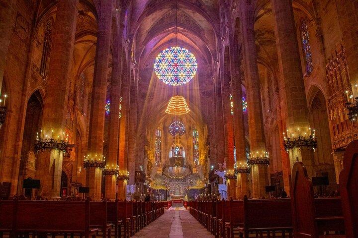 VIP Palma de Mallorca and Cathedral from Cruise Port Small Group