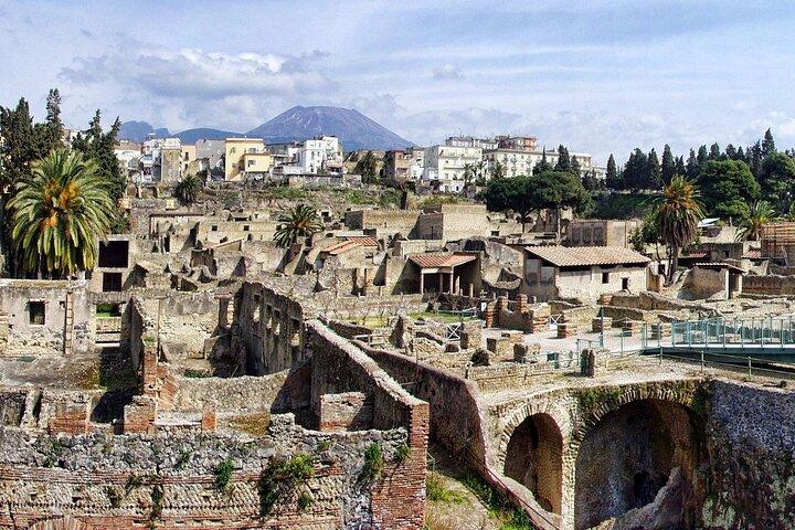 Pompeii,Herculaneum, Vesuvius Wine Tasting and Lunch from Salerno