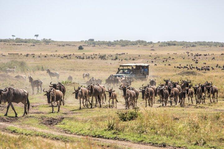 9-Day Private Luxury Wildebeest Migration Safari Tanzania