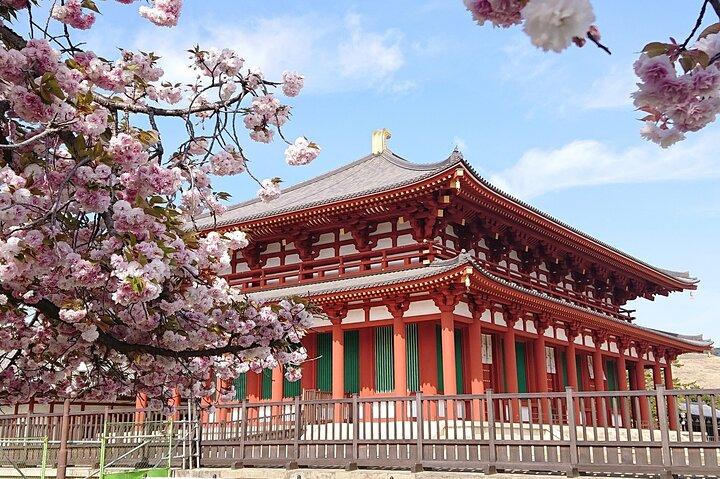 Depart from Osaka & Kyoto: Classic Nara Park&Fushimi Inari Tour