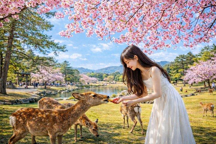 Depart from Osaka & Kyoto: Classic Nara Park&Fushimi Inari Tour