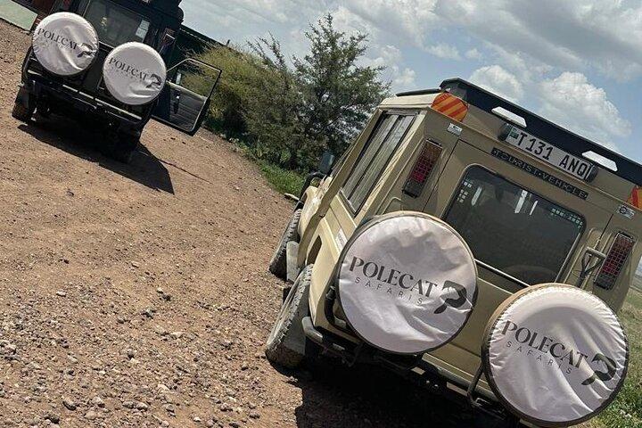 7 Days Private luxury Safari to Serengeti & Ngorongoro
