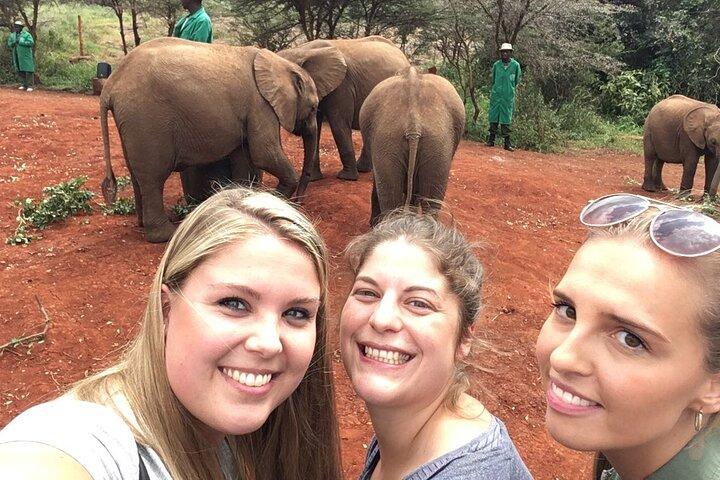 Elephants Orphanage & Giraffe Center Private Tour
