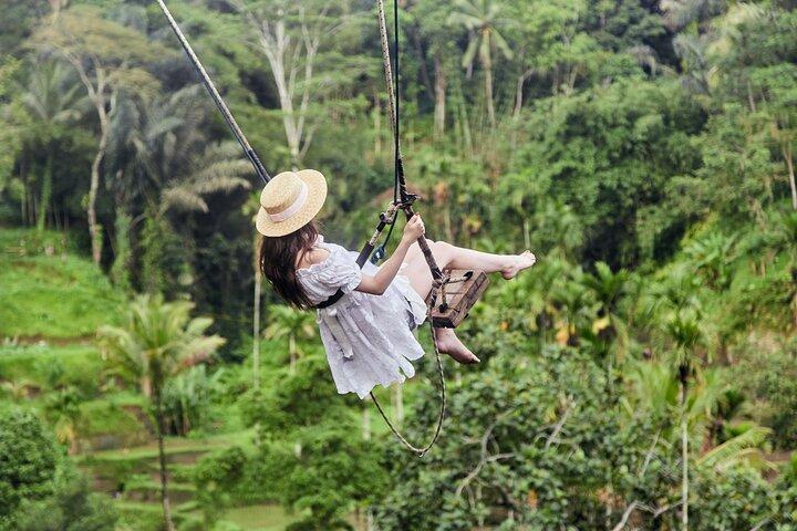 Private 1-Day Ubud Highlights Tour